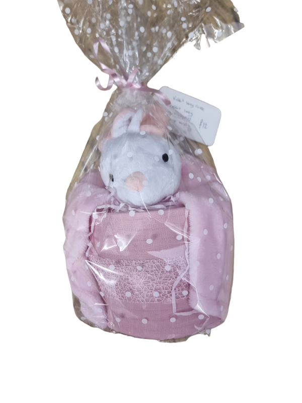 Teddy Hamper - x1 Muslin & Teddy Blanket & Size 1 Nappies