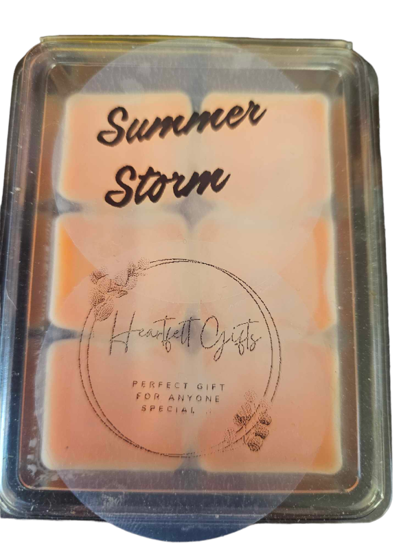 Wax Melt - Summer Storm