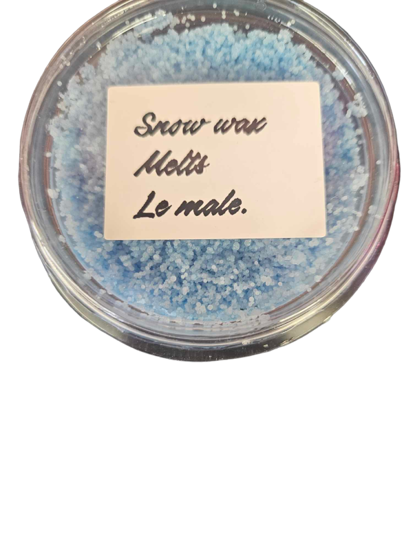 Snow Wax Melt - Le Male